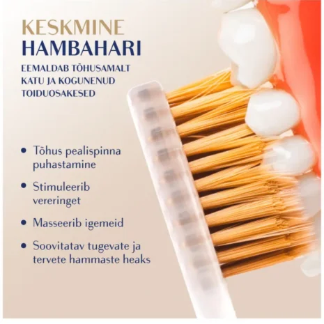 hambahari-royal-denta-gold-medium-64be45e8b3cae hambahari-royal-denta-gold-medium-64be45e8b3cae