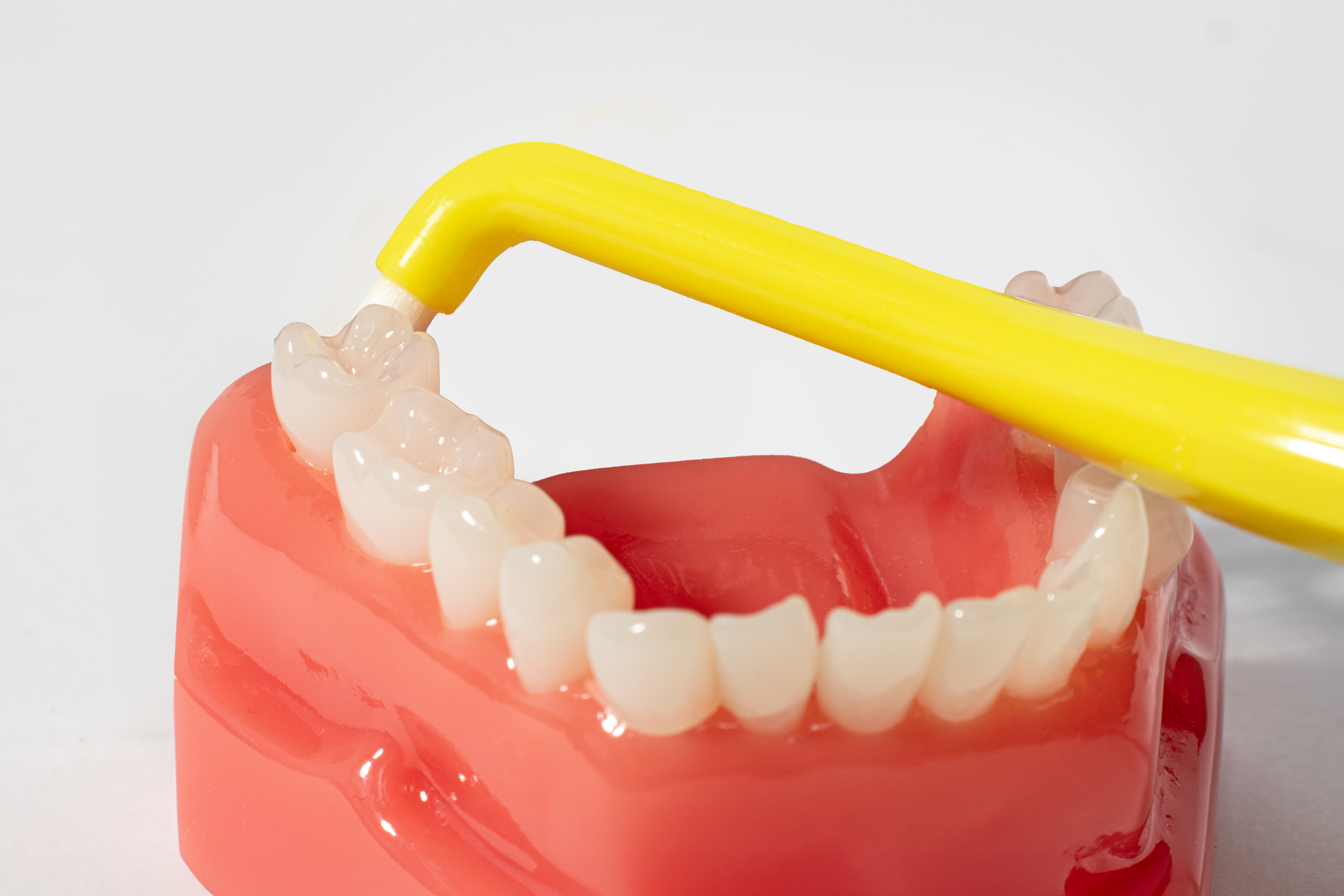 Royal Denta ühe hamba harjaga puhastamine