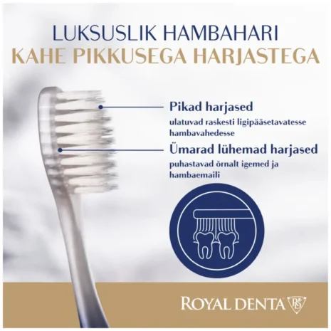 hambahari-royal-denta-silver-medium-kahe-pikkusega-harjased hambahari-royal-denta-silver-medium-kahe-pikkusega-harjased