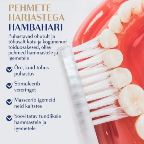 hambahari-royal-denta-silver-soft-pehmed-harjased Royal Denta Silver Soft pehmete harjastega hambaharja omadused