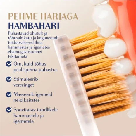 royal-denta-gold-soft-toothbrush-4-pack-soft-bristles Royal Denta Soft Gold soft bristle features