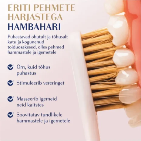 royal-denta-eriti pehmed harjased royal-denta-hambaharja-eriti-pehmed-harjased